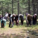 Manisa'da 'siyah elmas' bulundu