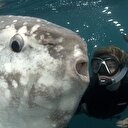 Okyanusun en büyük canlıları kaç metre?