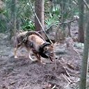 Denizli'de değil ABD'de çekildi!