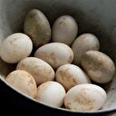 Kirli yumurtaya 'köy yumurtası' diyorlar