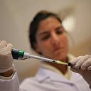 İlk yerli Hepatit B aşısı üretildi
