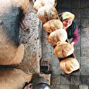 Mutfağın lezzeti doğuda artar
