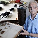 25 bin böceklik koleksiyon