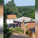 Kestiği ağaç başına düştü