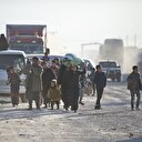 AB'den sığınmacı itirafı