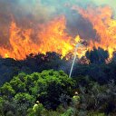 Bursa Gemlik'te orman yangını