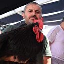 Bu horoz 5 bin dolar