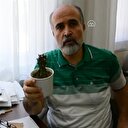 Kaktüs radyasyon ilişkisine bilimsel açıklama