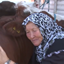 Fatma nineden yeni ineklerine: Evinize hoşgeldiniz
