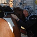 Telef olan inekleri için ağlayan çifti güldüren hediye