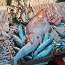 İnsan yüzlü balık görenleri şaşırtıyor