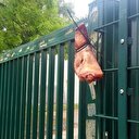 Camiye çirkin saldırı