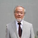 2016 Nobel Tıp Ödülü'nün sahibi belli oldu