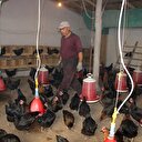 Toplanır toplanmaz satılıyor