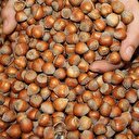 Nutella’nın üreticisi Ferrero Türk fındığını savundu