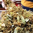 Ihlamur fiyatları düştü
