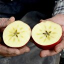 Türkiye'nin hiçbir yerinde böylesi yok