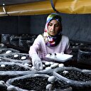 Köydeki evinde işinin patronu oldu