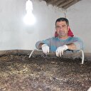 Piyasası çok canlı