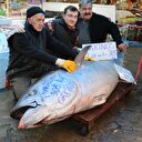 Tam 305 kilo 12 kişi zor indirdi
