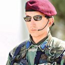 Bordo bereye rekor başvuru