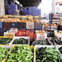 Tarım ihracatında 10 yılın bilançosu 31 üründe 48,5 milyar $