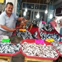 Karadeniz'de kırlangıç bolluğu