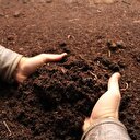 150 milyon solucan yılda 500 ton organik gübre getiriyor