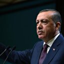 AB'yi halka sorarız