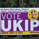 Irkçı İngiliz parti UKIP Avrupa'nın verdiği parayı AB'den çıkmak için kullanmış