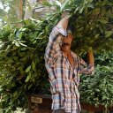 Köylüye 2 milyon liralık gelir sağlıyor