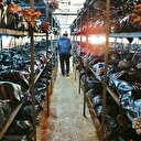 Ek iş olarak başladılar 20 tonluk üretime ulaştılar