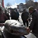 Tam 250 kilo: Araçtan 5 kişiyle indirebildi