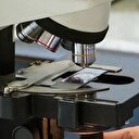 Bitkilerin sağlığını “yerli ajan” koruyacak