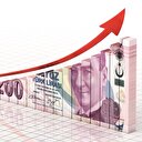 Türk Lirası'nın cazibesi artıyor