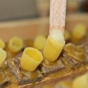 Bu sütün kilosu 20 bin lira