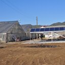 Üretici güneş enerjisi ile güldü