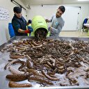 Yılda 7 milyon dolar gelir sağlıyor