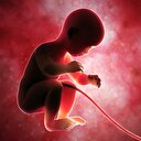 Kemik hastalıkları için umut olabilir