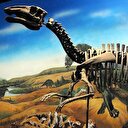 Bilim adamları diş döken dinozor türü keşfetti