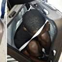 Bavuldan göçmen çıktı