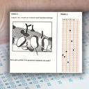 ÖSYM Başkanı 'kısa cevaplı sorular'ı anlattı