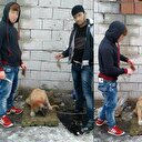 Yavru köpeğe işkence edip sosyal medyada paylaştılar