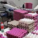 Üreticide 6 lira marketlerde 20 lira