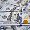 Rusya döviz alımına başlayacak