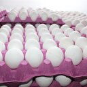 Irak'a bin tır yumurta