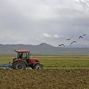 Tarım ürünleri ithalatı tarife kontenjanında değişiklik yapıldı