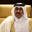 Türkiye isterse Katar LNG göndermeye hazır