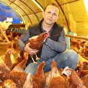 Ödünç aldığı tavuklarla zengin oldu