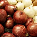 Rusya soğan, karnabahar, brokoli ve karanfil yasağını kaldırdı